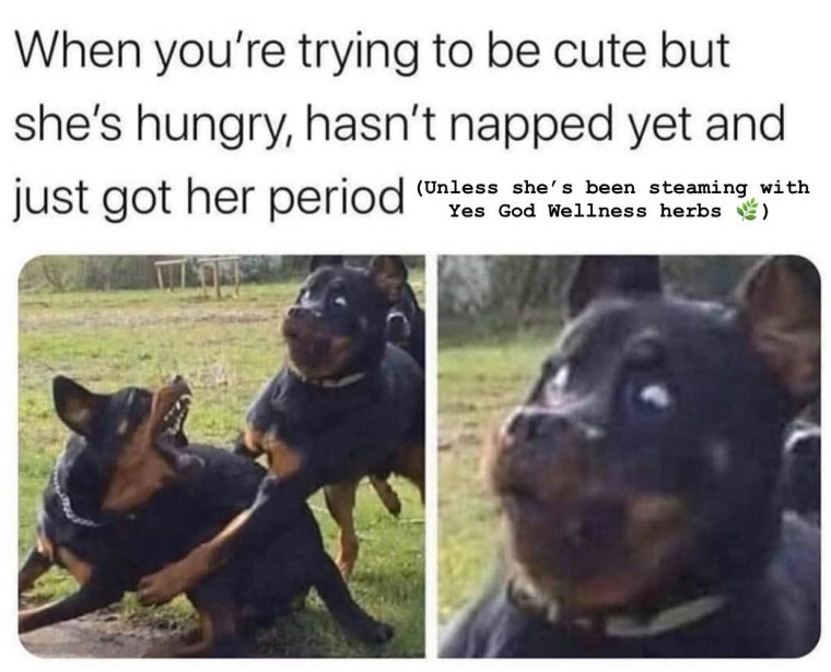 F6EE28F2-8CEA-4D1F-A342-6FCF56A02D25